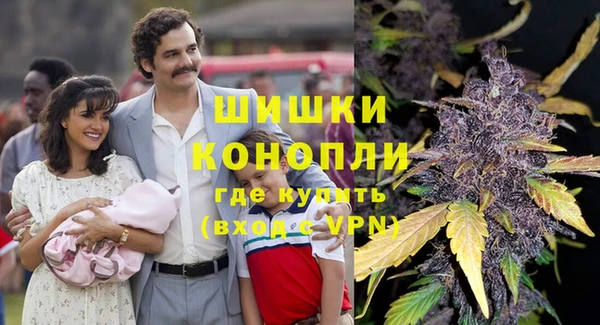 марки lsd Новозыбков