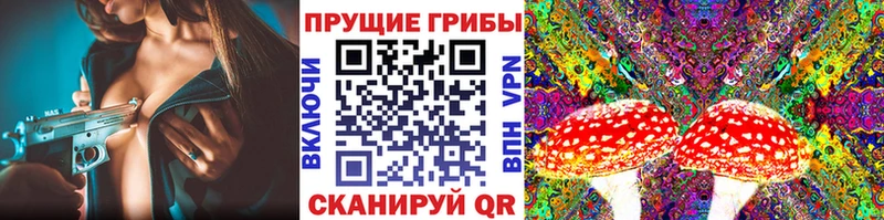 Псилоцибиновые грибы прущие грибы  Киров 